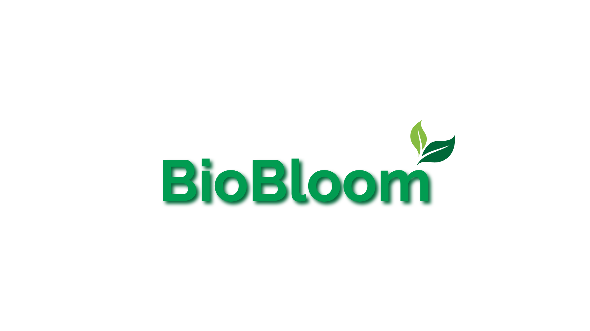 BioBloom natural wellness brand identity by Gesiggie